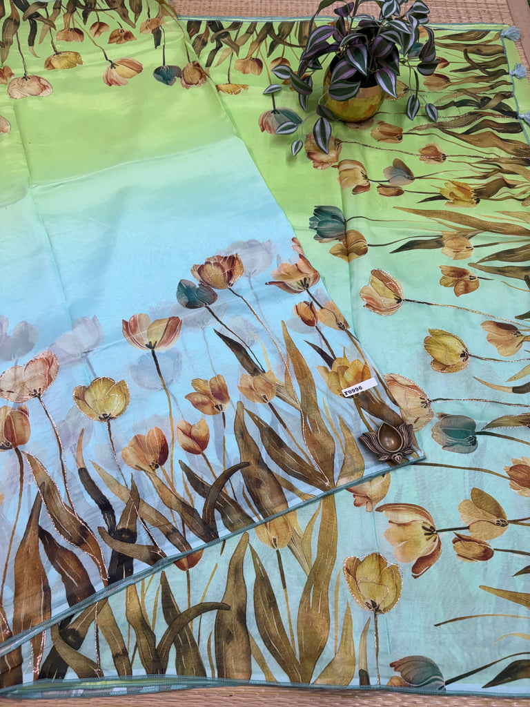 Organza Saree #E0996