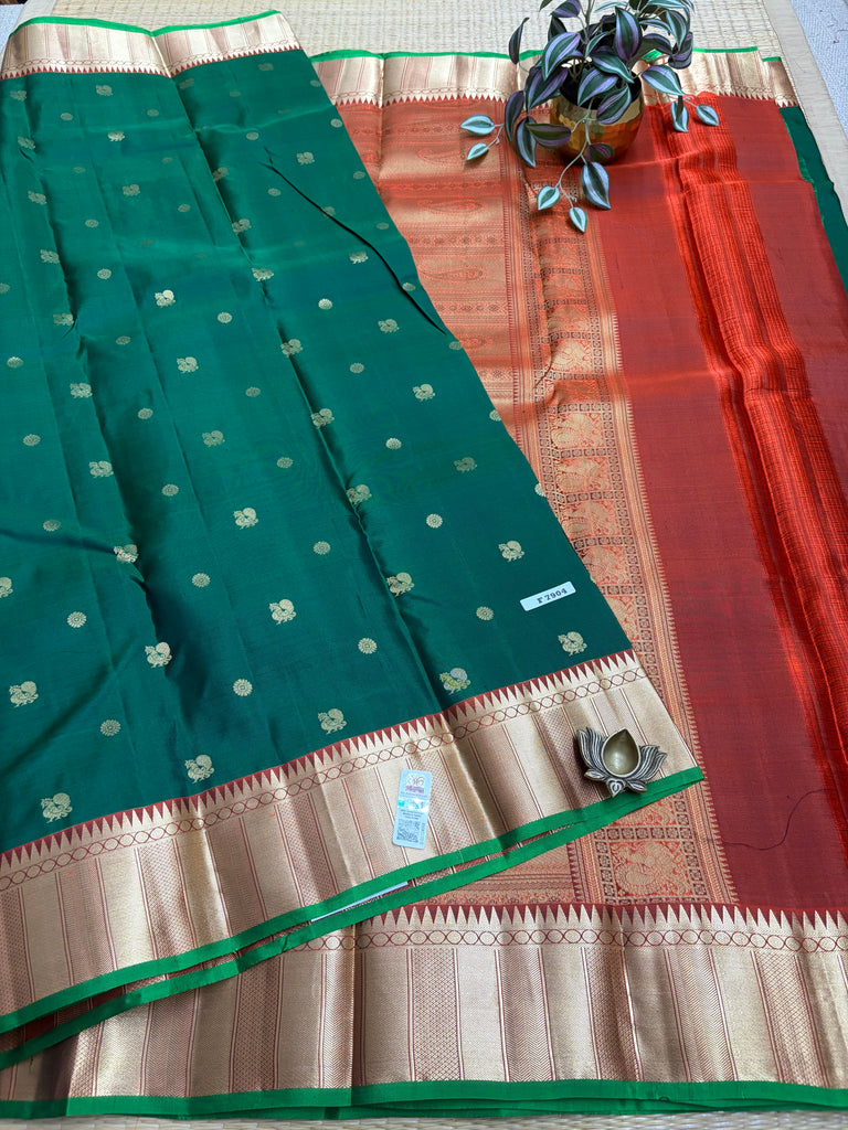 Kanchi Pure Silk #F7904
