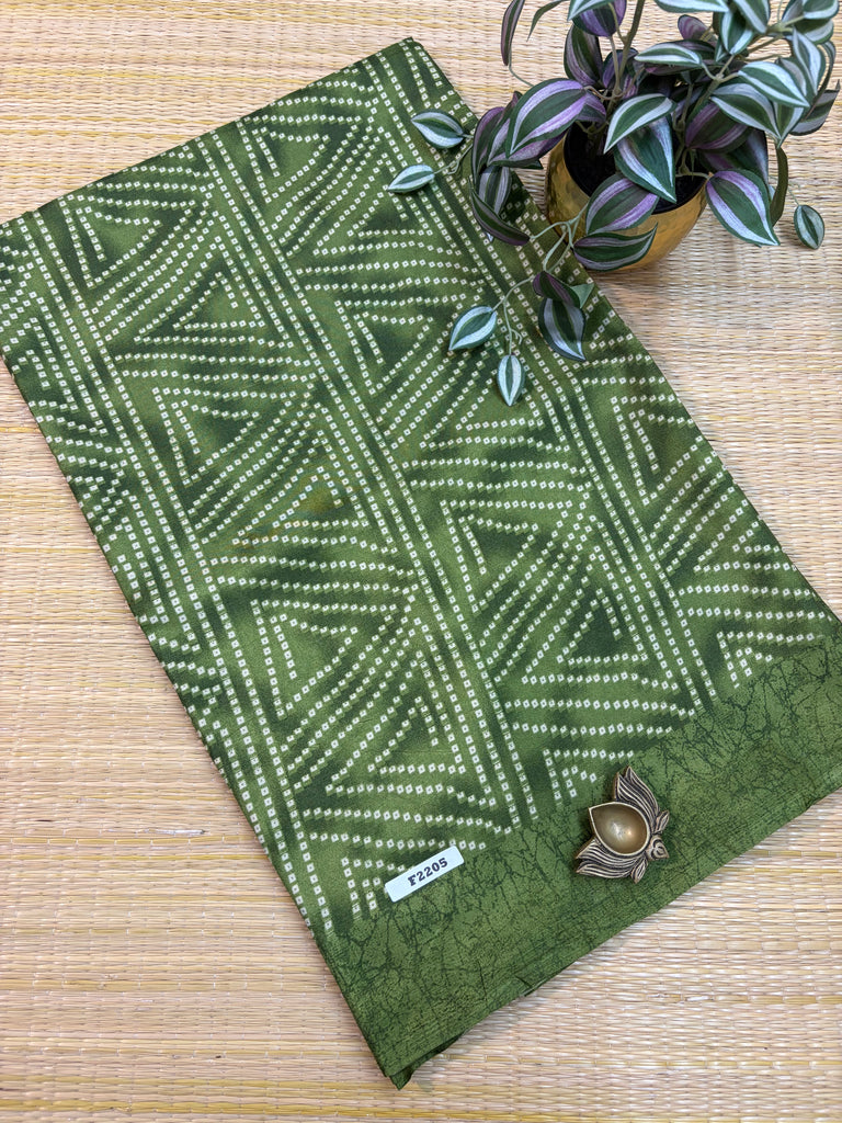 Kashmiri Printed Silk #F2205