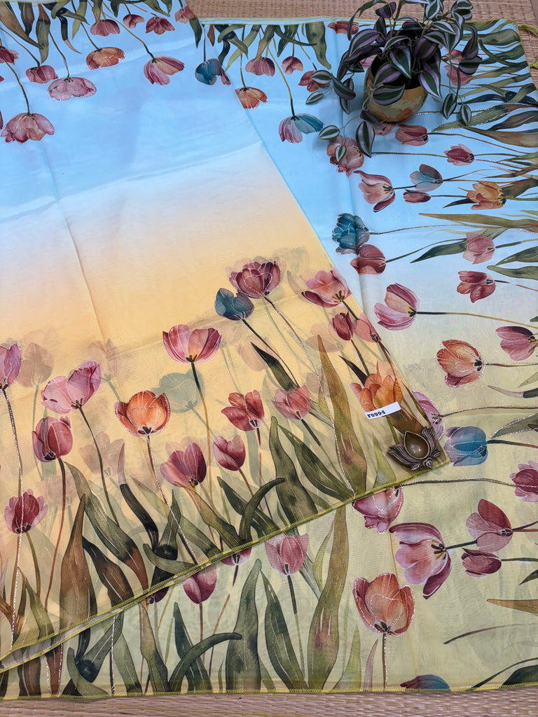 Organza Saree #E0994