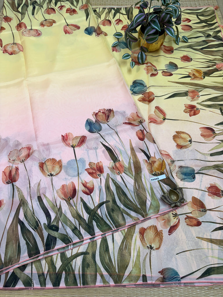 Organza Saree #E0995