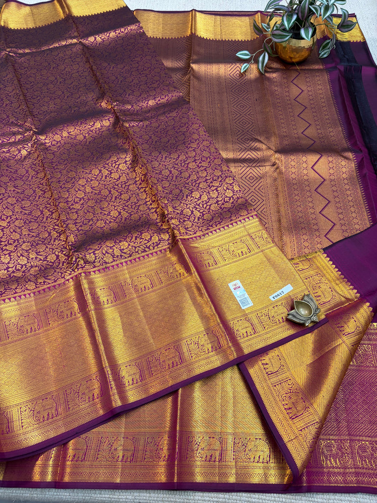 Kanchi Pure Silk #F0617