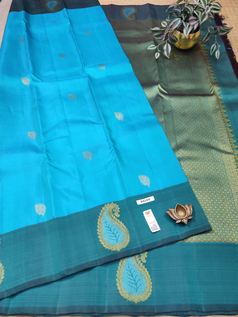 Kanchi Pure Silk #D6209