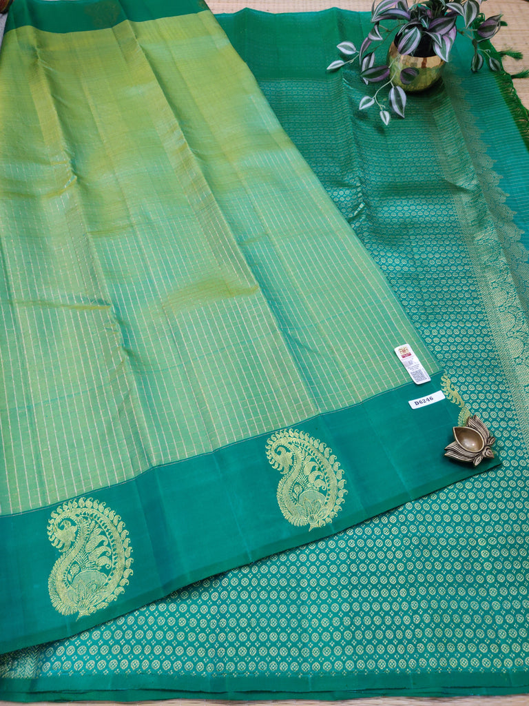Kanchi Pure Silk #D6246