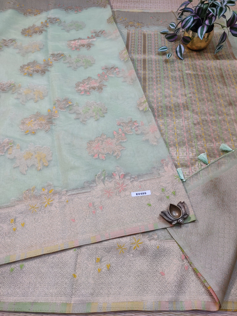 Organza Saree #E0489