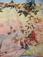 Organza Saree #E5653