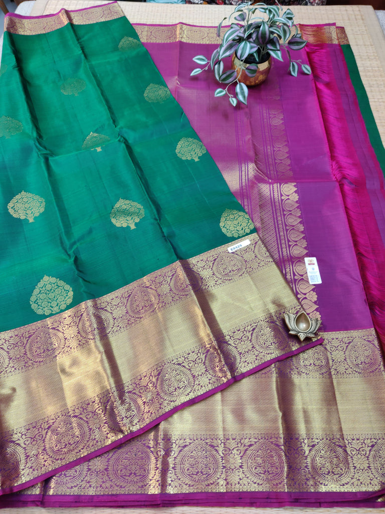 Kanchi Pure Silk #E8429