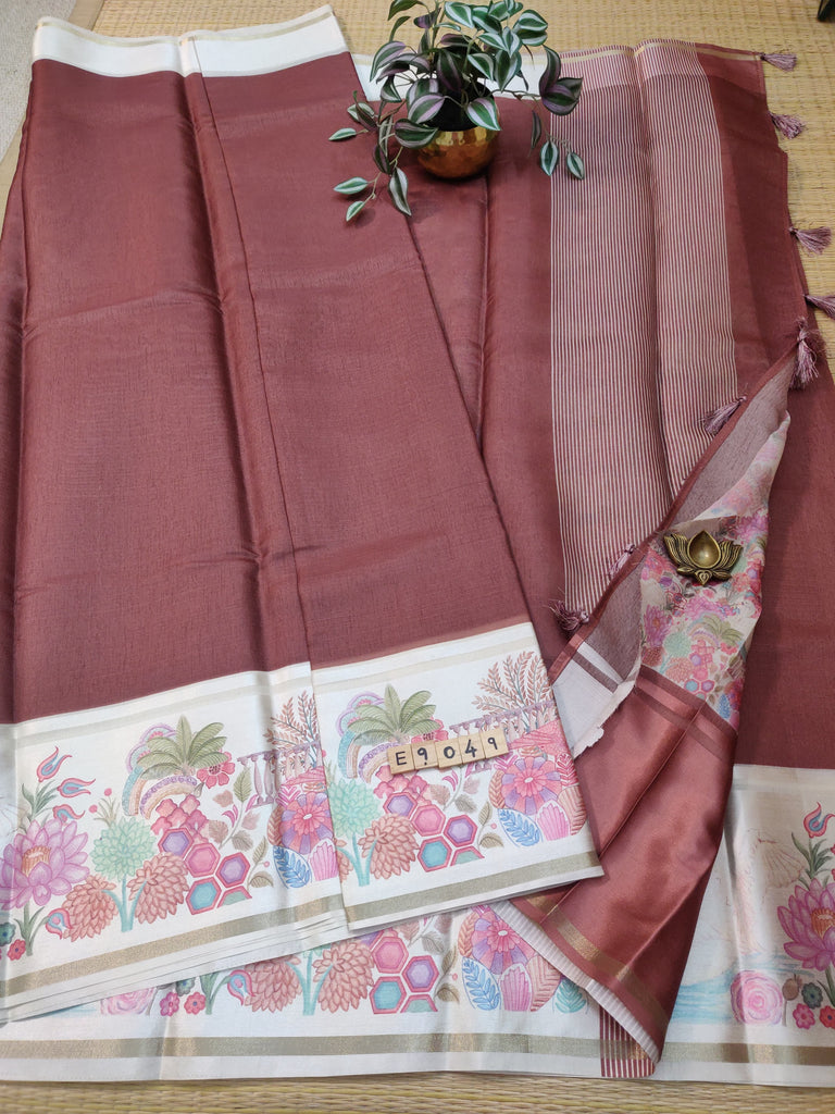 Organza Saree #E9049