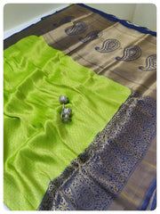 Raj Guru Sarees